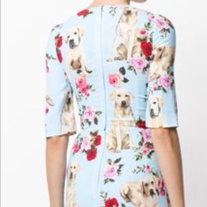 ISO Mimmo print cady Dolce & Gabbana